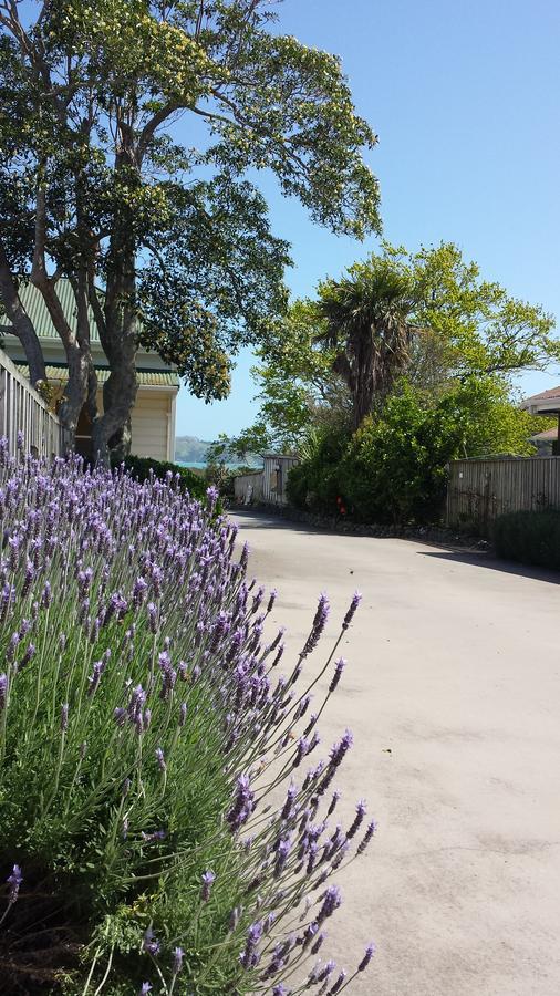 Abbey Court Motel Coromandel Экстерьер фото