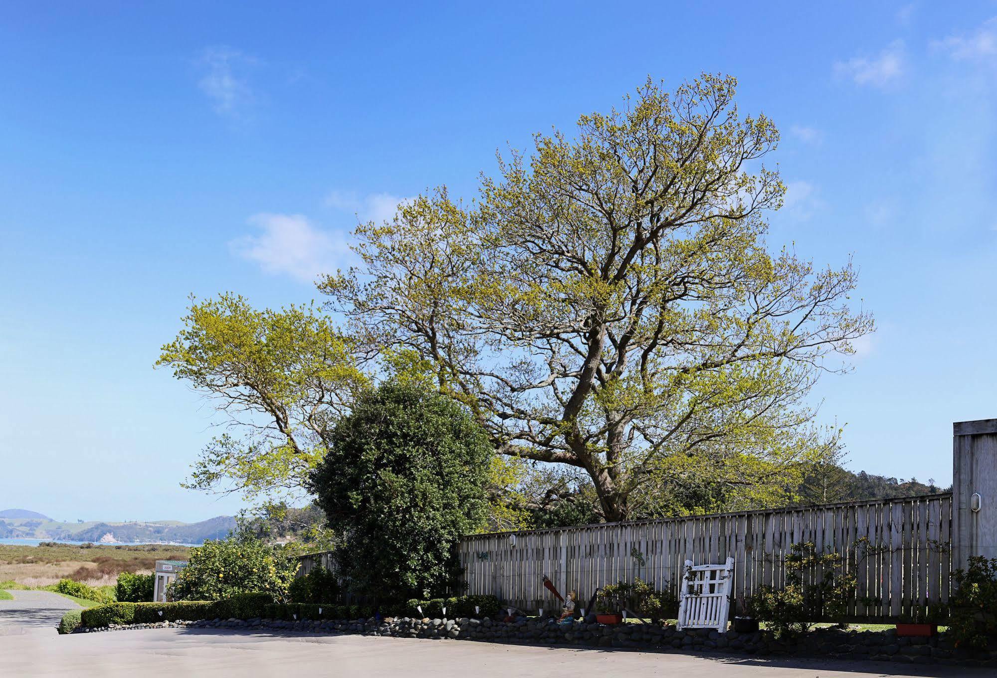 Abbey Court Motel Coromandel Экстерьер фото